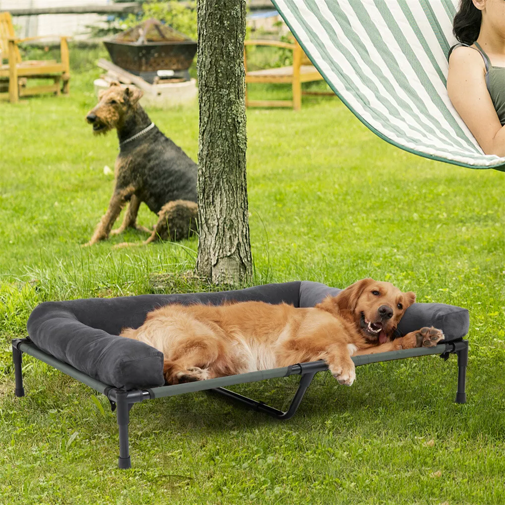 BINGOPAW – приподнятая лежанка – обзор и цена Outdoor Camping Dog Bed